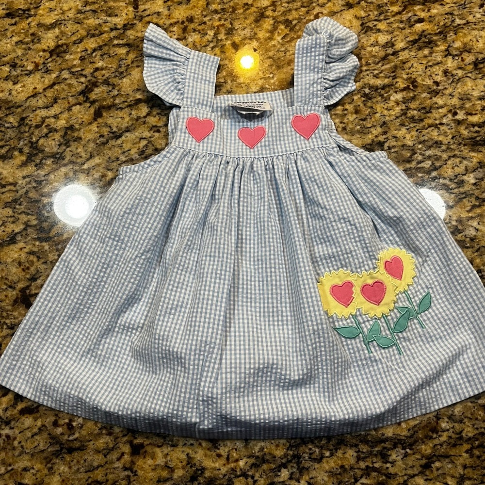 Samara Baby Girls Blue Gingham Heart Floral Seersucker Dress Size 24 Months